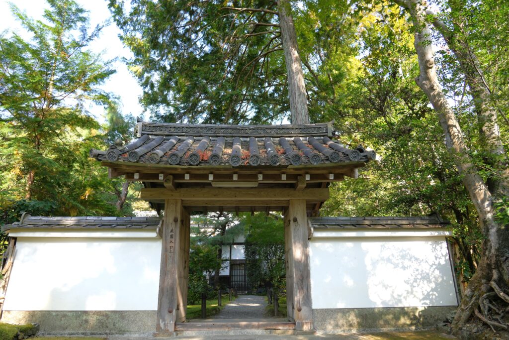 地蔵院 竹寺