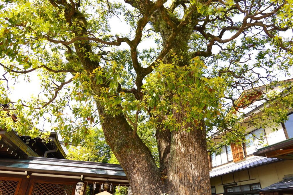 晴明神社