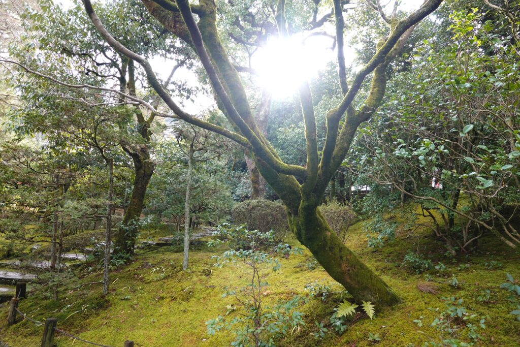 知恩院